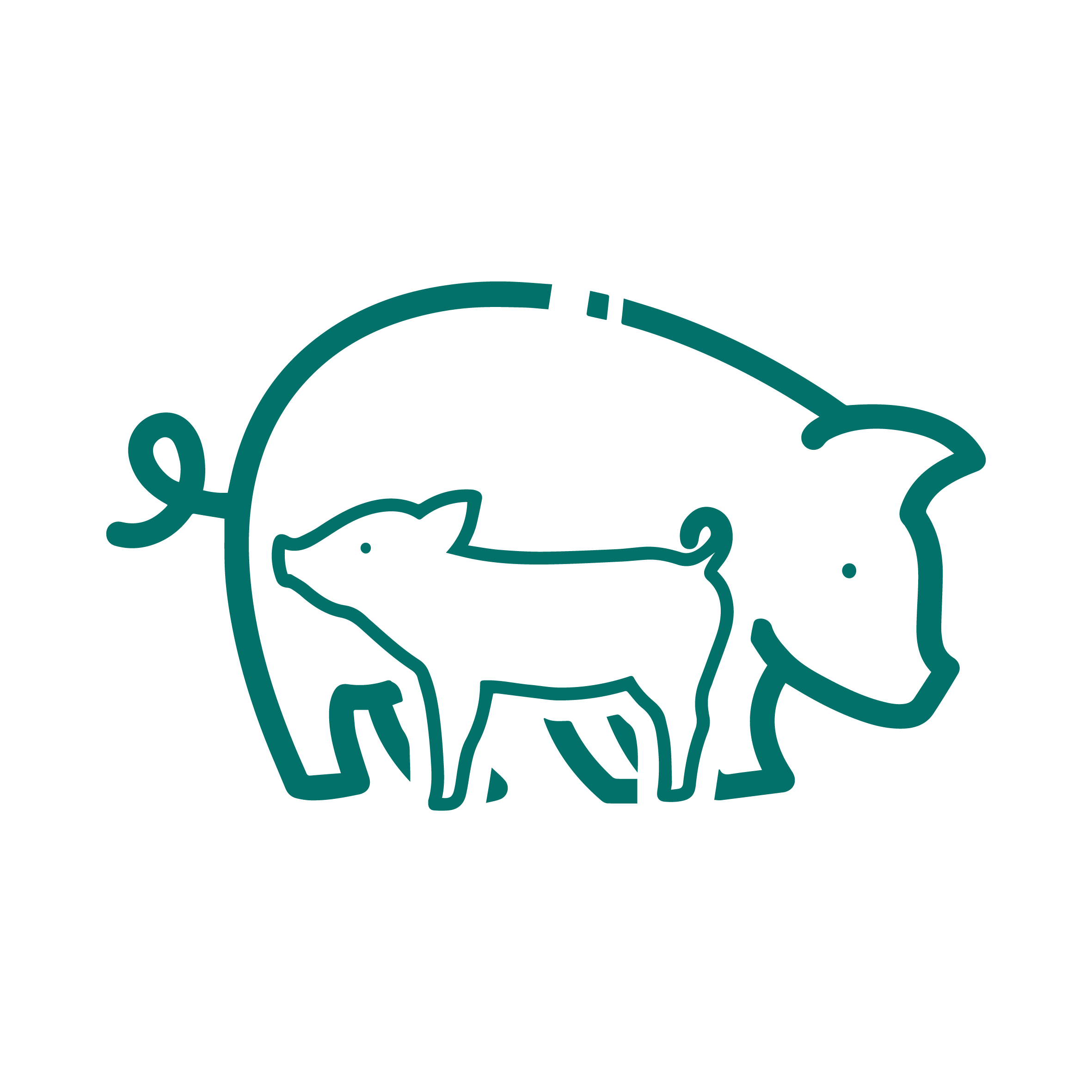 Gestation and dry sow management